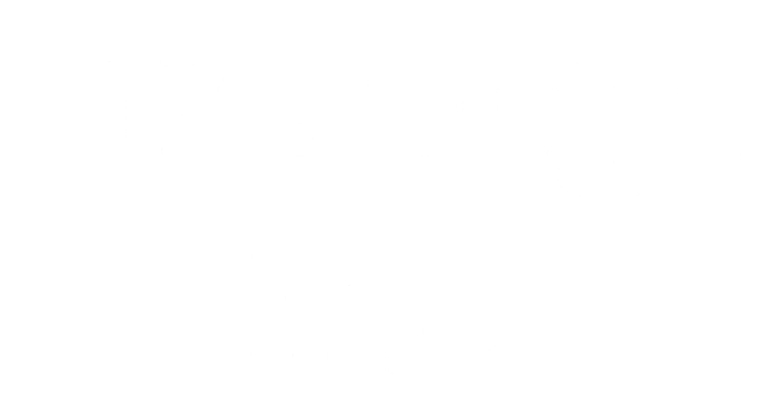 The Boyz Inc.